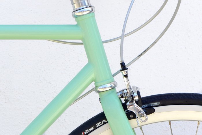 Camellia 3-Speed