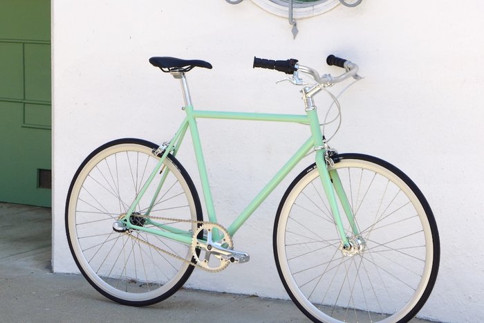Camellia 3-Speed