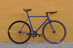 Matte Cobalt Valencia