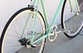 Camellia 3-Speed