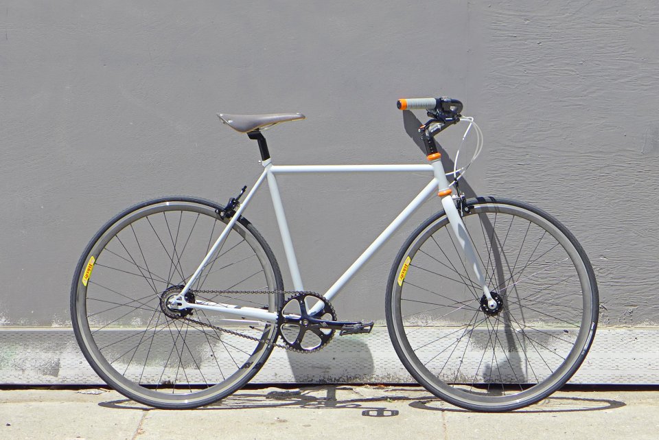 Gray &amp; Halo with Orange Sutro